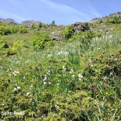 12 juin Tête de Lauzarot